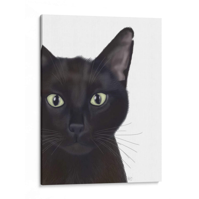 Gato, Retrato De Gus - Fab Funky | Cuadro decorativo de Canvas Lab