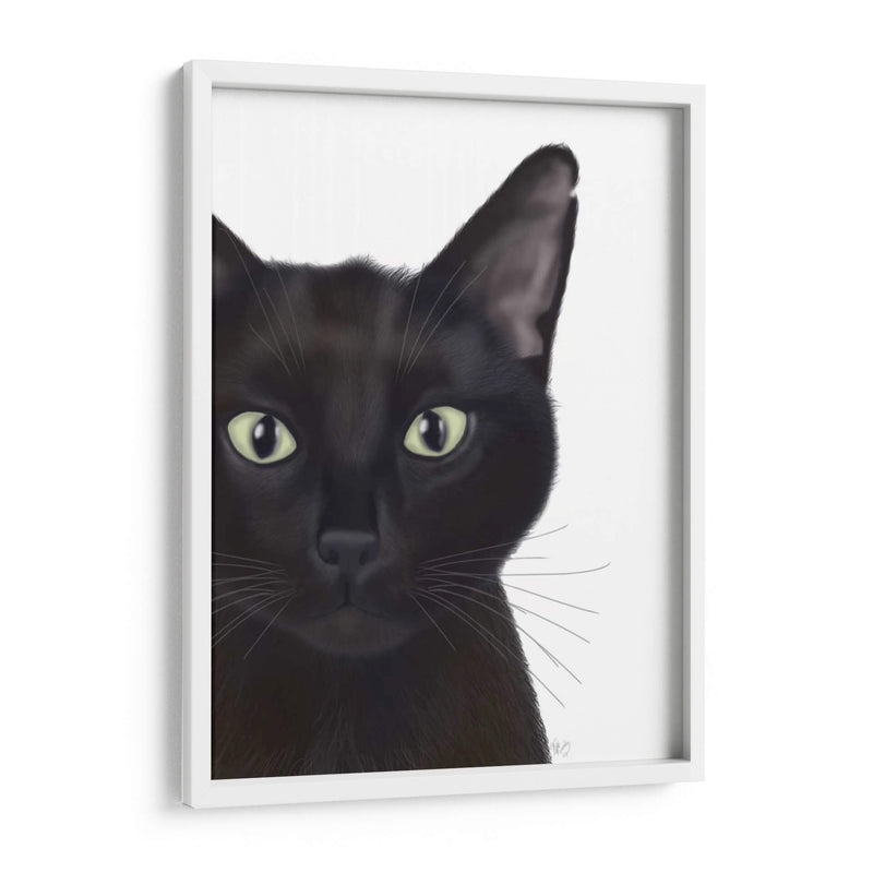 Gato, Retrato De Gus - Fab Funky | Cuadro decorativo de Canvas Lab