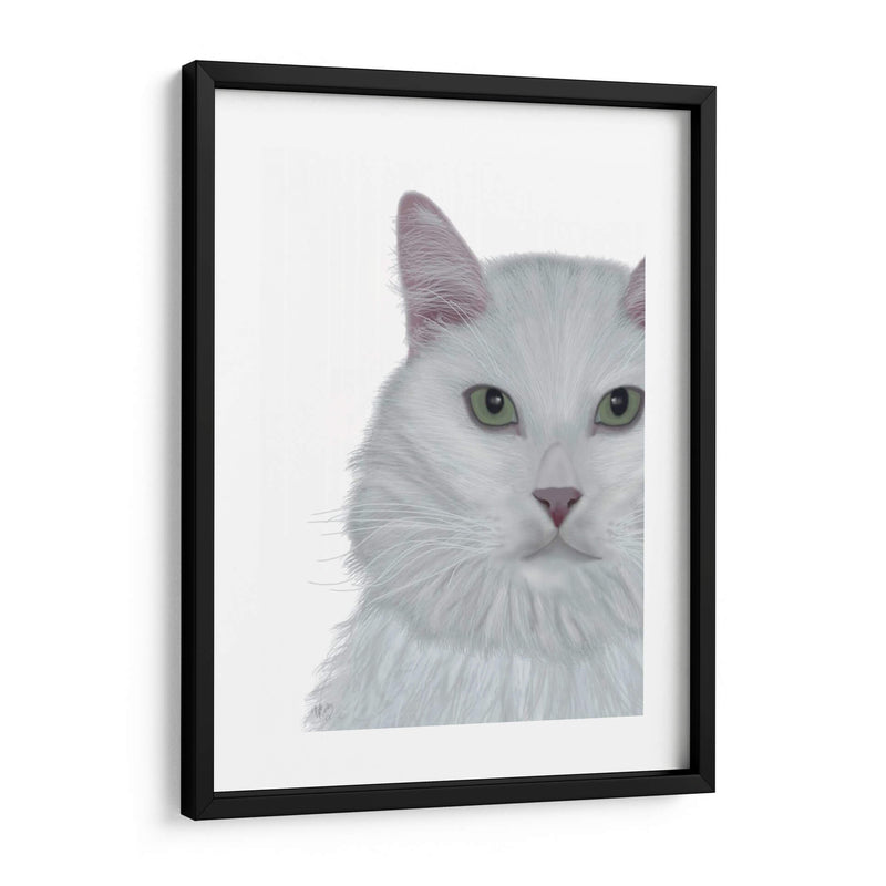 Gato, Retrato Blanco En Blanco - Fab Funky | Cuadro decorativo de Canvas Lab