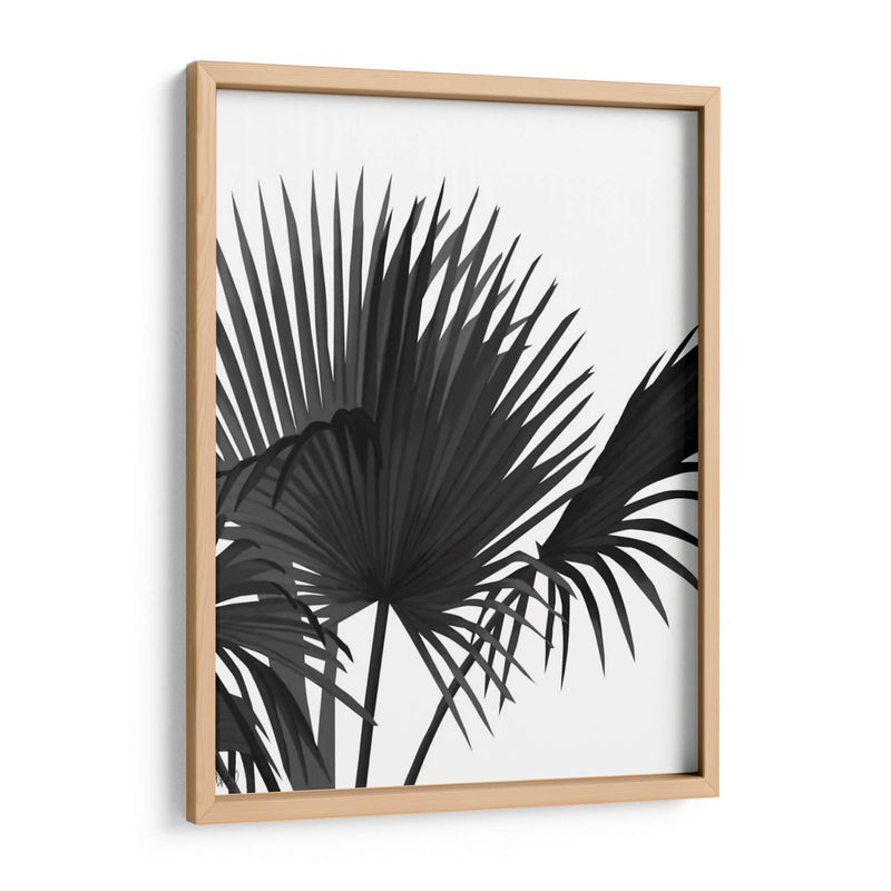 Fan Palm 1, Negro En Blanco - Fab Funky | Cuadro decorativo de Canvas Lab