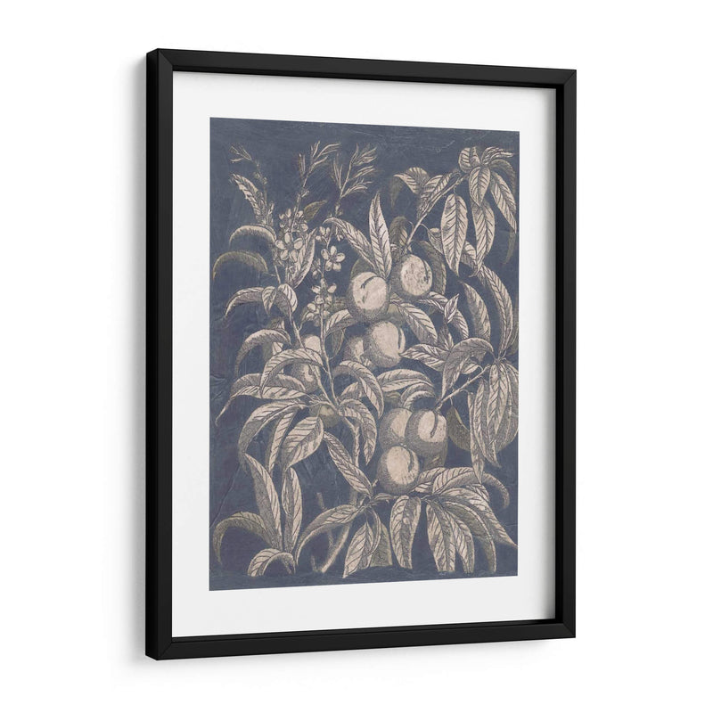 Vintage Fruta Y Floral Ii - Megan Meagher | Cuadro decorativo de Canvas Lab