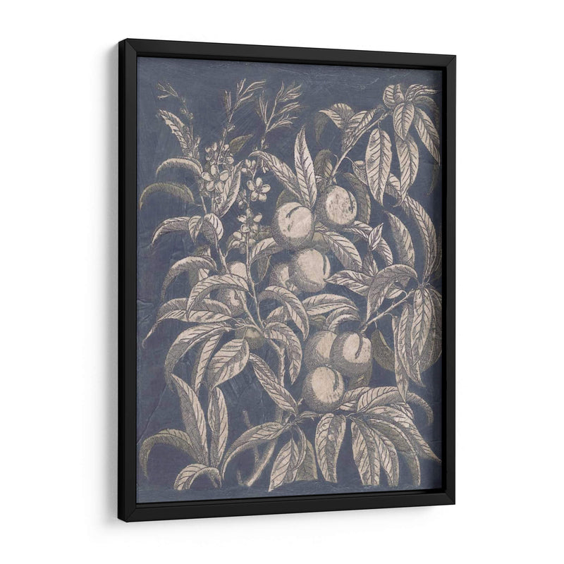 Vintage Fruta Y Floral Ii - Megan Meagher | Cuadro decorativo de Canvas Lab