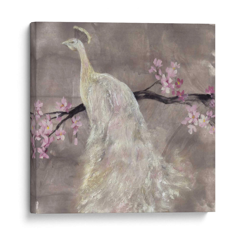 Peacock Serenity Ii - Jennifer Goldberger | Cuadro decorativo de Canvas Lab