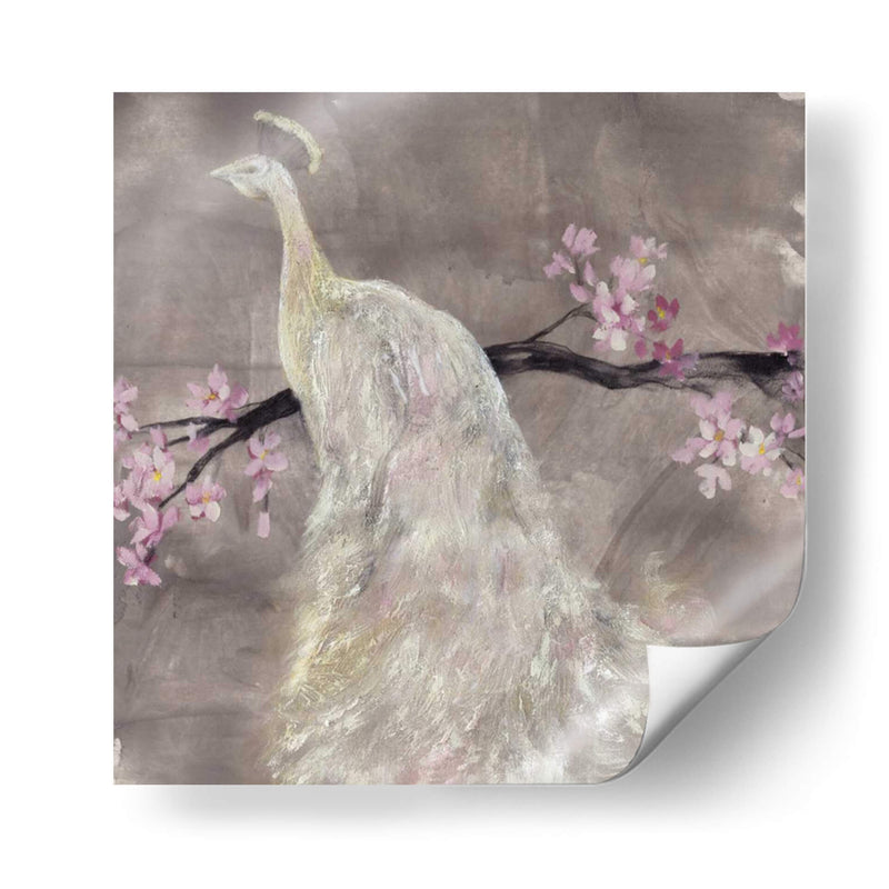 Peacock Serenity Ii - Jennifer Goldberger | Cuadro decorativo de Canvas Lab