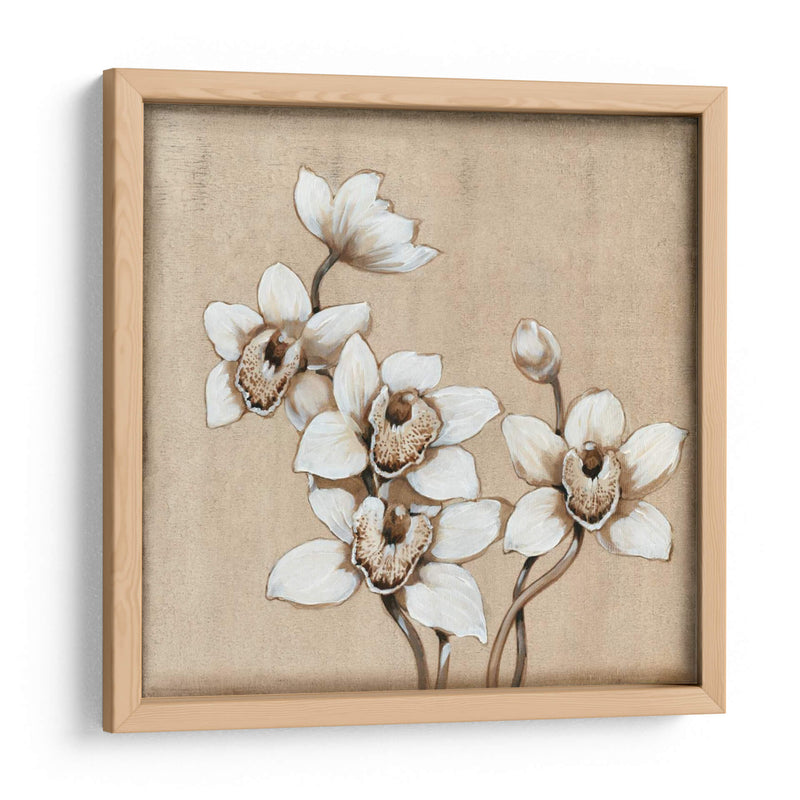 Orquídea Blanca I - Tim OToole | Cuadro decorativo de Canvas Lab