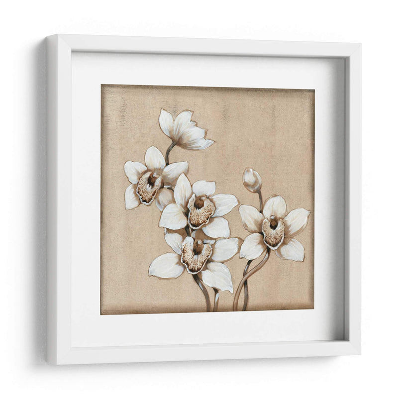 Orquídea Blanca I - Tim OToole | Cuadro decorativo de Canvas Lab