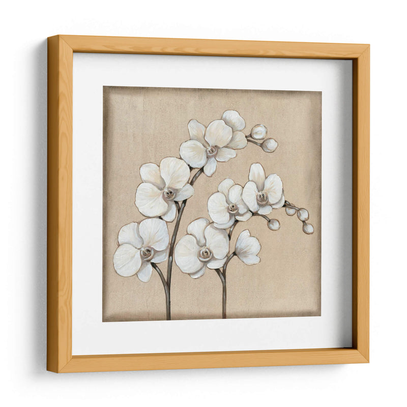 Orquídea Blanca Ii - Tim OToole | Cuadro decorativo de Canvas Lab