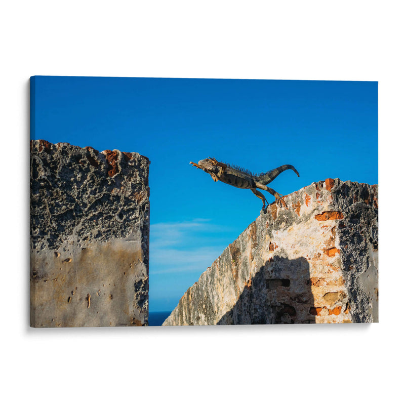 El salto de la iguana | Cuadro decorativo de Canvas Lab