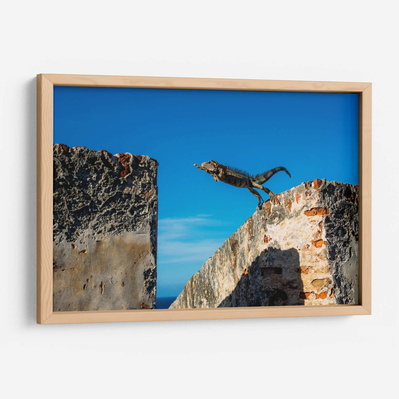 El salto de la iguana | Cuadro decorativo de Canvas Lab