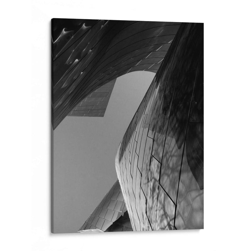 Oda A Gehry 7 - Inc. Dag | Cuadro decorativo de Canvas Lab