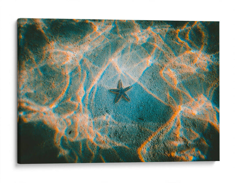 La única estrella | Cuadro decorativo de Canvas Lab