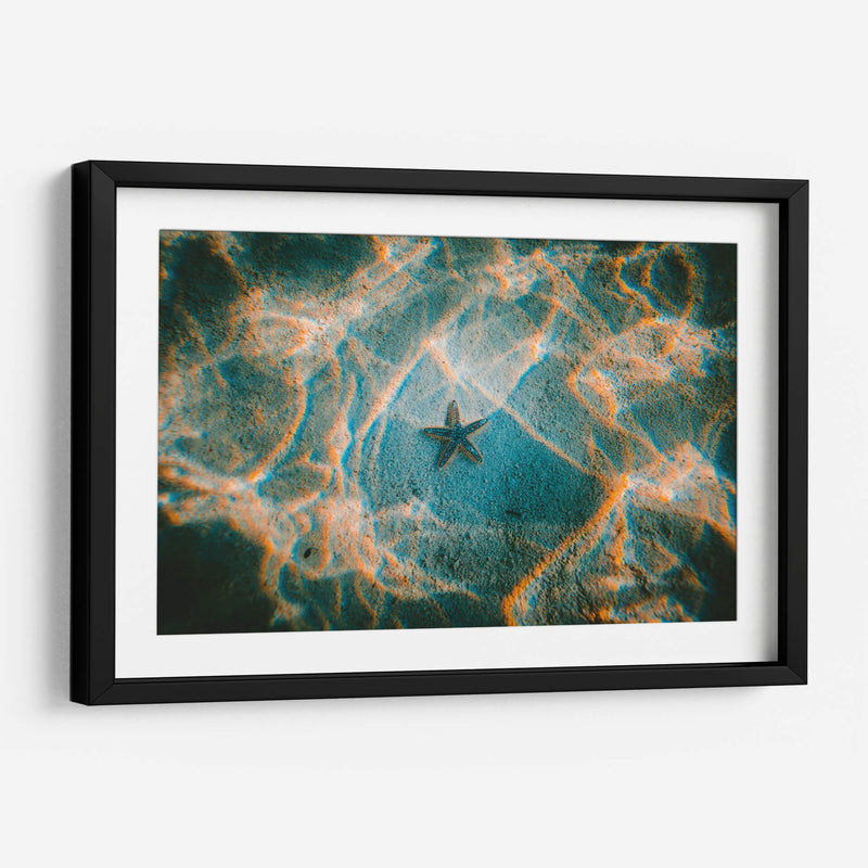 La única estrella | Cuadro decorativo de Canvas Lab