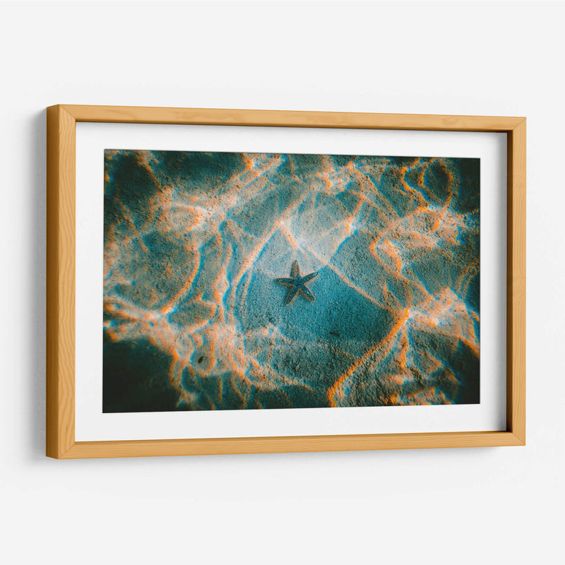 La única estrella | Cuadro decorativo de Canvas Lab