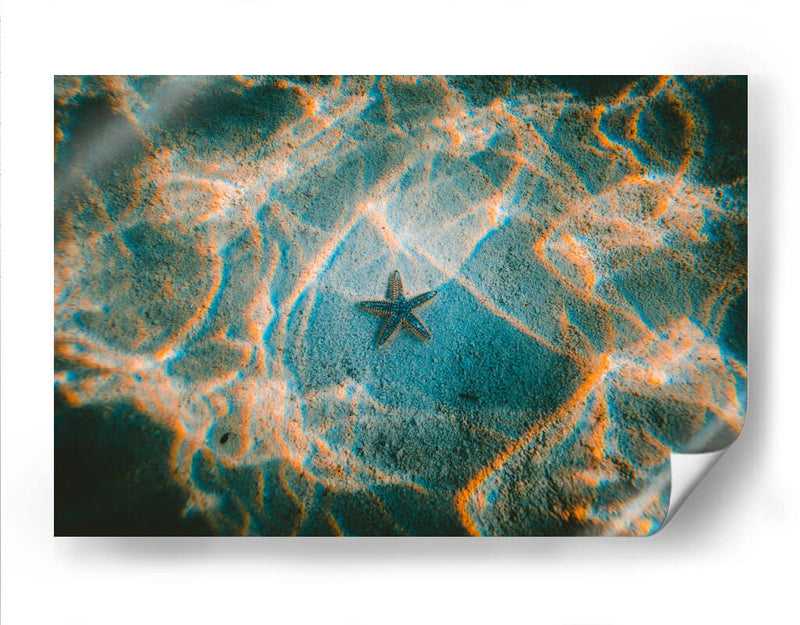 La única estrella | Cuadro decorativo de Canvas Lab