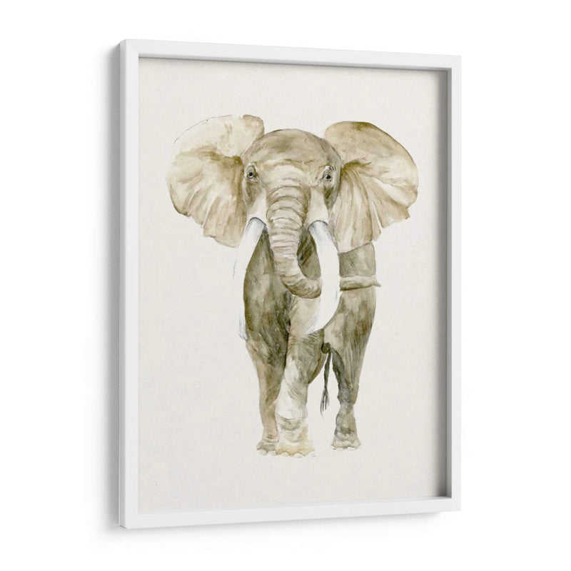Bebé Elefante I - Melissa Wang | Cuadro decorativo de Canvas Lab