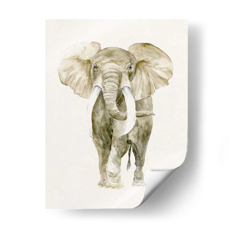 Bebé Elefante I - Melissa Wang | Cuadro decorativo de Canvas Lab