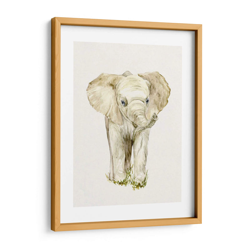 Elefante Bebé Ii - Melissa Wang | Cuadro decorativo de Canvas Lab
