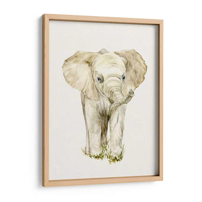 Elefante Bebé Ii - Melissa Wang | Cuadro decorativo de Canvas Lab