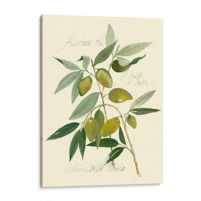 Aceitunas Ascolane - Elissa Della-Piana | Cuadro decorativo de Canvas Lab