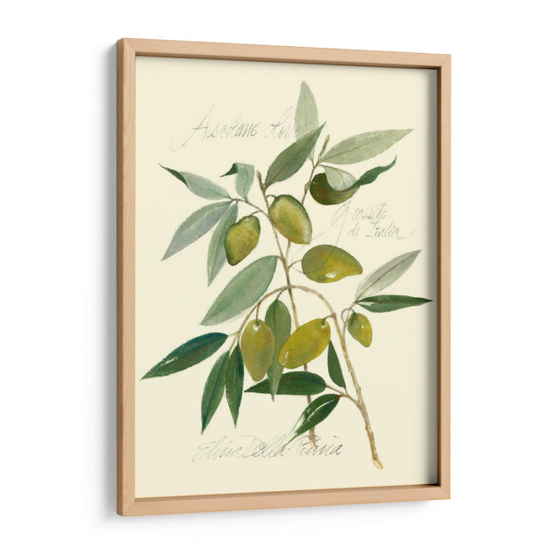 Aceitunas Ascolane - Elissa Della-Piana | Cuadro decorativo de Canvas Lab