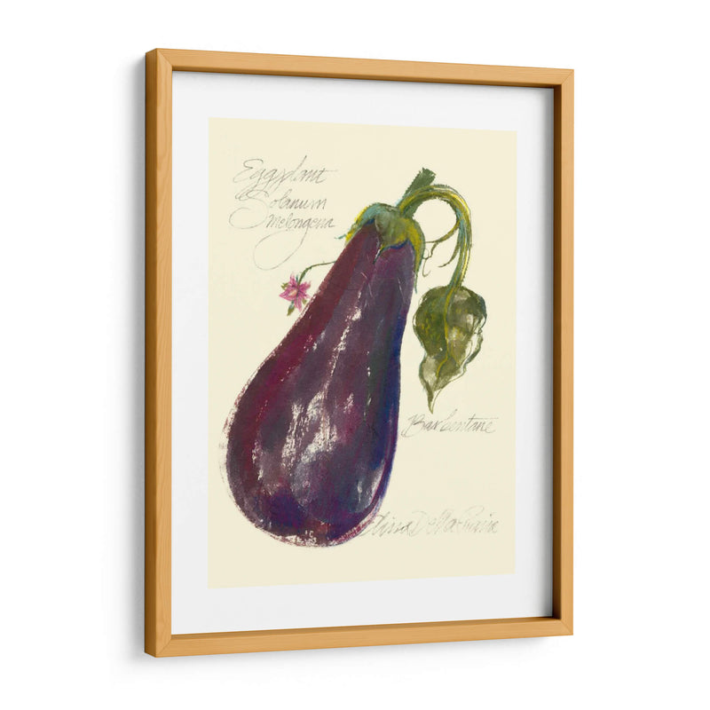 Berenjena Solanum Melongena - Elissa Della-Piana | Cuadro decorativo de Canvas Lab