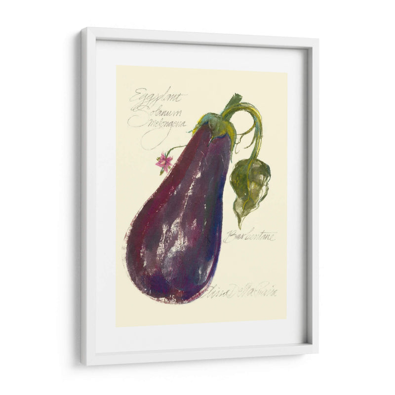 Berenjena Solanum Melongena - Elissa Della-Piana | Cuadro decorativo de Canvas Lab