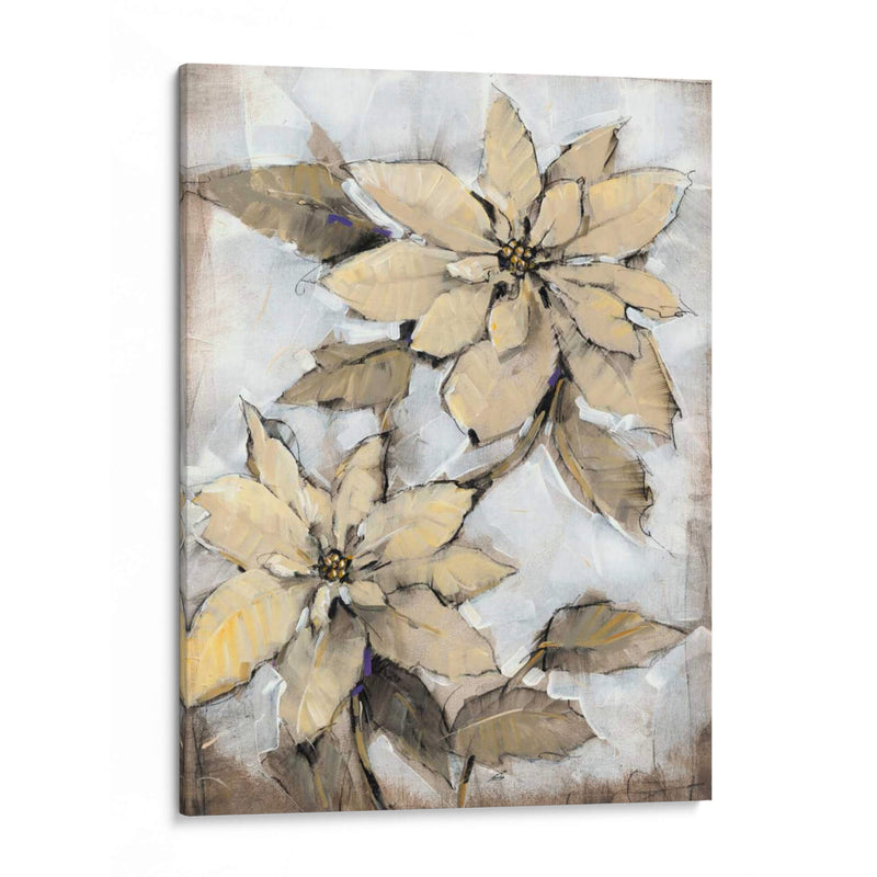 Poinsettia Study I - Tim OToole | Cuadro decorativo de Canvas Lab