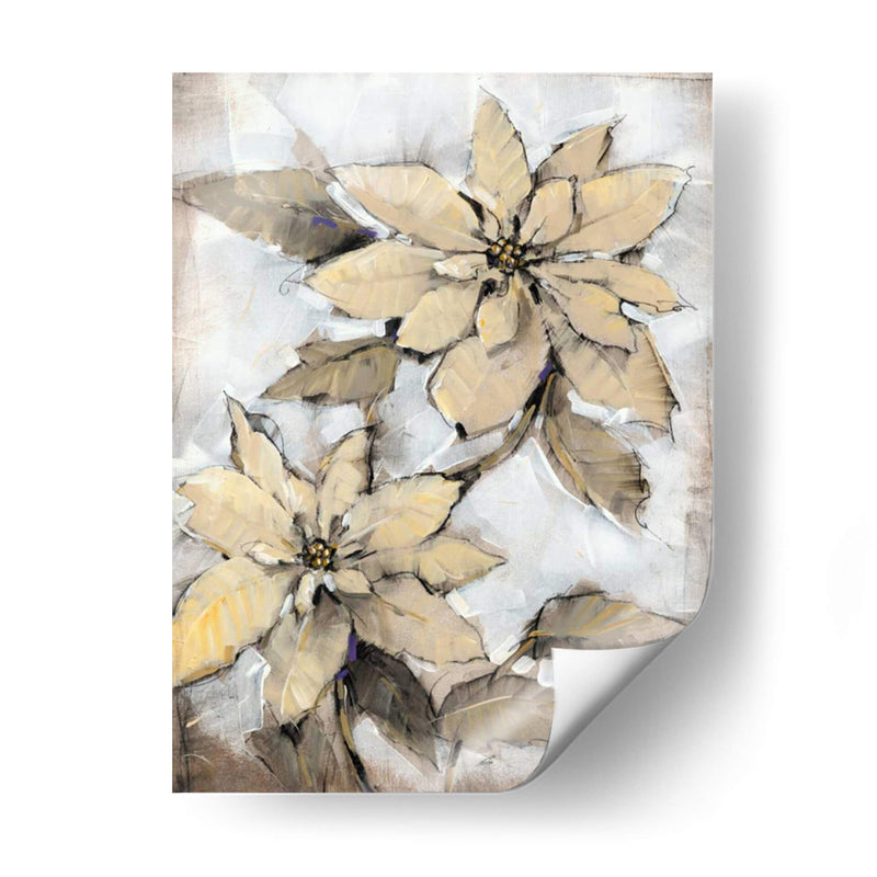 Poinsettia Study I - Tim OToole | Cuadro decorativo de Canvas Lab