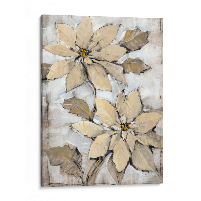 Poinsettia Study Ii - Tim OToole | Cuadro decorativo de Canvas Lab