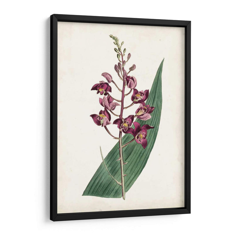 Lavanda Florales Viii - Curtis | Cuadro decorativo de Canvas Lab