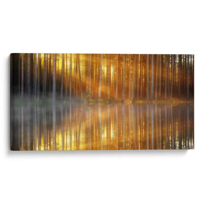 El reflejo de los troncos | Cuadro decorativo de Canvas Lab