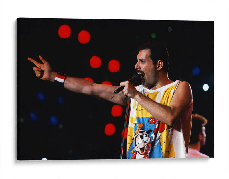 Freddie Mercury en escenario | Cuadro decorativo de Canvas Lab