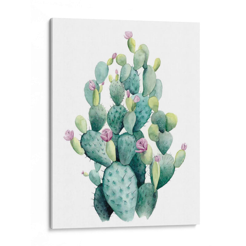 Floraciones Del Desierto I - Grace Popp | Cuadro decorativo de Canvas Lab