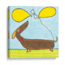 Super Animal - Dachshund - Tatijana Lawrence | Cuadro decorativo de Canvas Lab