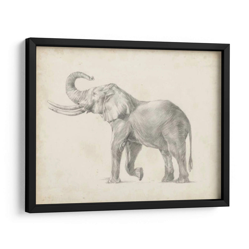 Bosquejo De Elefante I - Ethan Harper | Cuadro decorativo de Canvas Lab