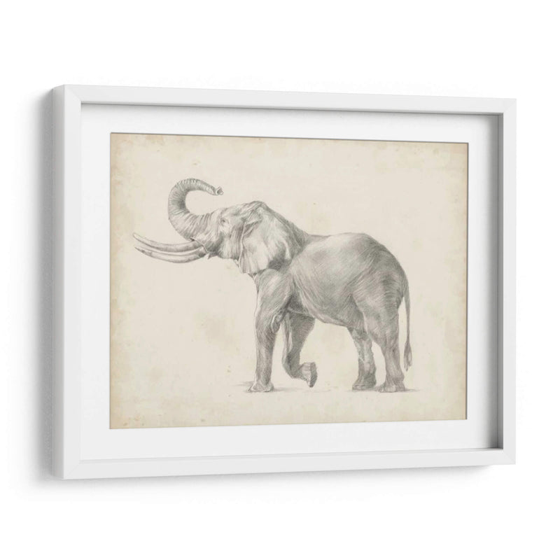 Bosquejo De Elefante I - Ethan Harper | Cuadro decorativo de Canvas Lab