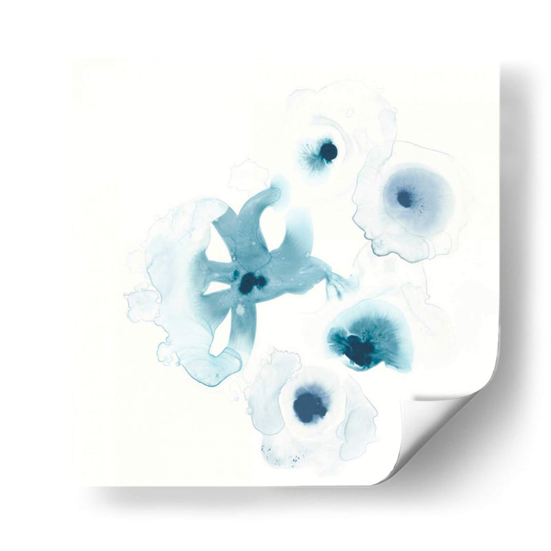 Protea Azul Iv - June Erica Vess | Cuadro decorativo de Canvas Lab