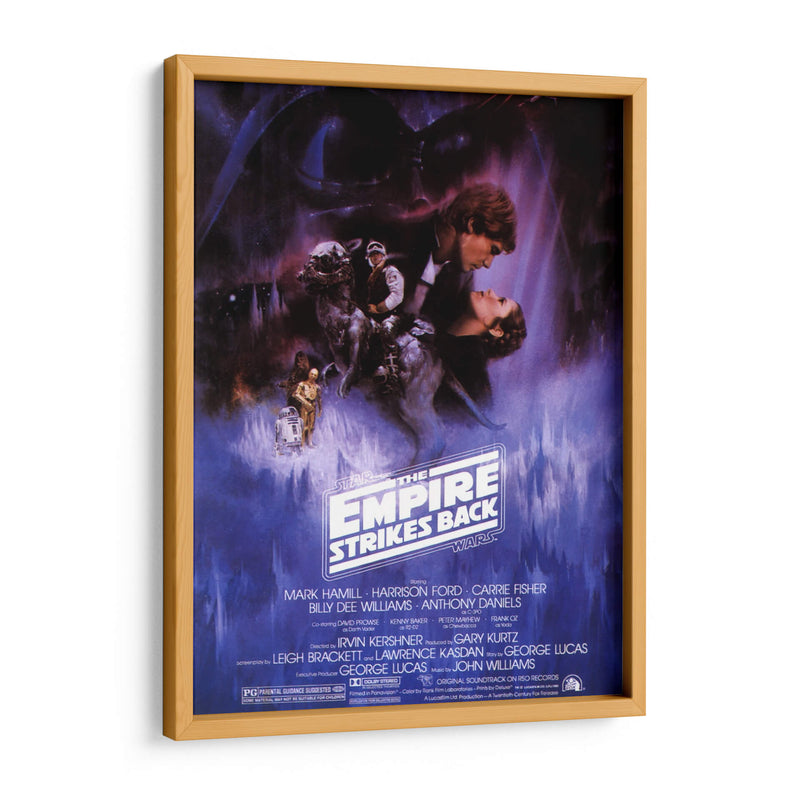 The Empire Strikes Back SW | Cuadro decorativo de Canvas Lab