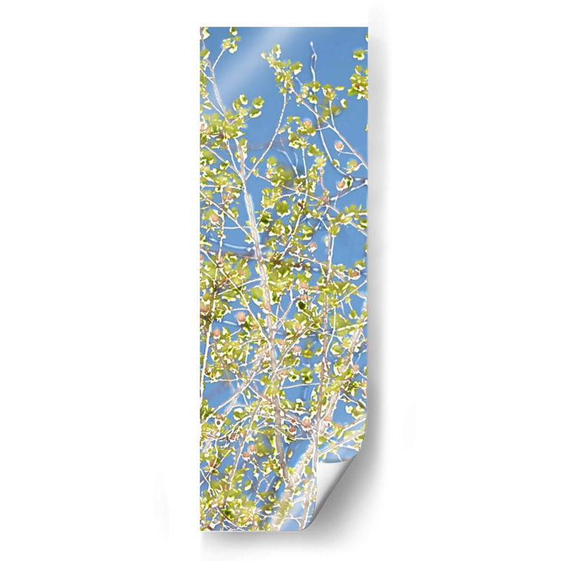 Poplars De Primavera Ii - Sharon Chandler | Cuadro decorativo de Canvas Lab