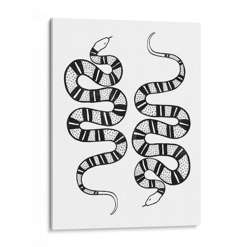 Epidaurus Snake Ii - Emma Scarvey | Cuadro decorativo de Canvas Lab