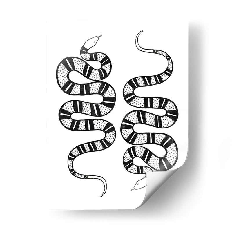 Epidaurus Snake Ii - Emma Scarvey | Cuadro decorativo de Canvas Lab