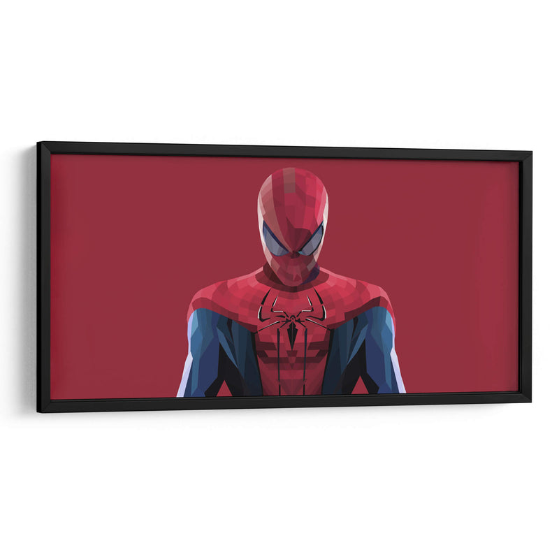 Spiderman vectores | Cuadro decorativo de Canvas Lab