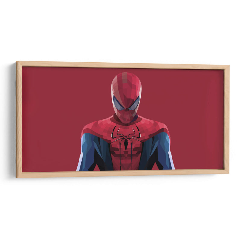 Spiderman vectores | Cuadro decorativo de Canvas Lab