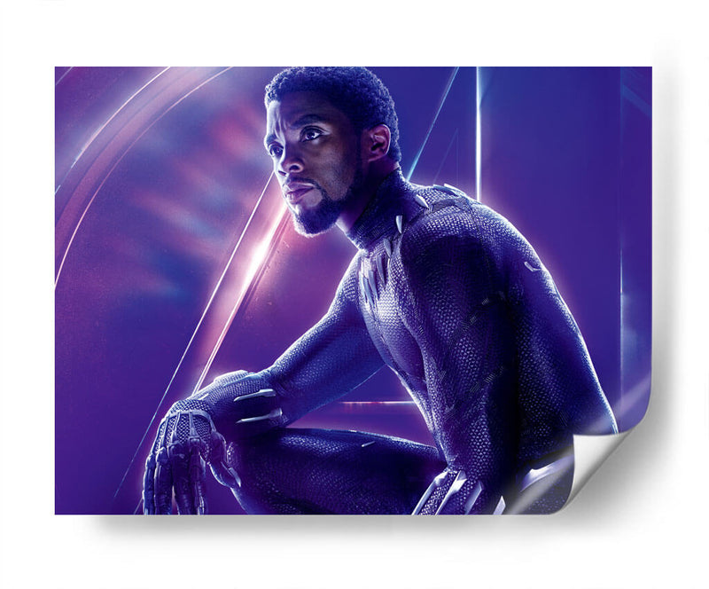 The Black Panther Avengers | Cuadro decorativo de Canvas Lab