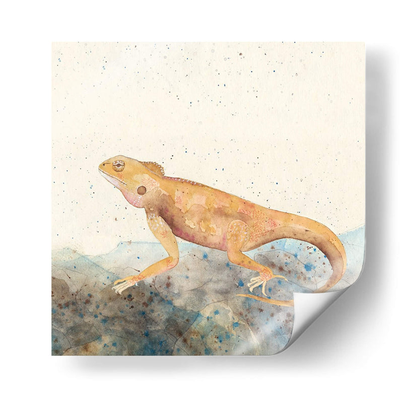 Reptilian Ii - Alicia Ludwig | Cuadro decorativo de Canvas Lab