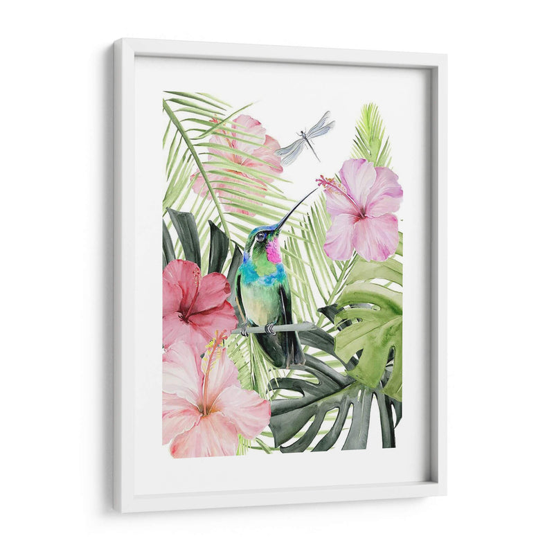 Hibiscus Y Hummingbird Ii - Jennifer Paxton Parker | Cuadro decorativo de Canvas Lab