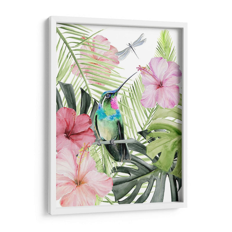 Hibiscus Y Hummingbird Ii - Jennifer Paxton Parker | Cuadro decorativo de Canvas Lab