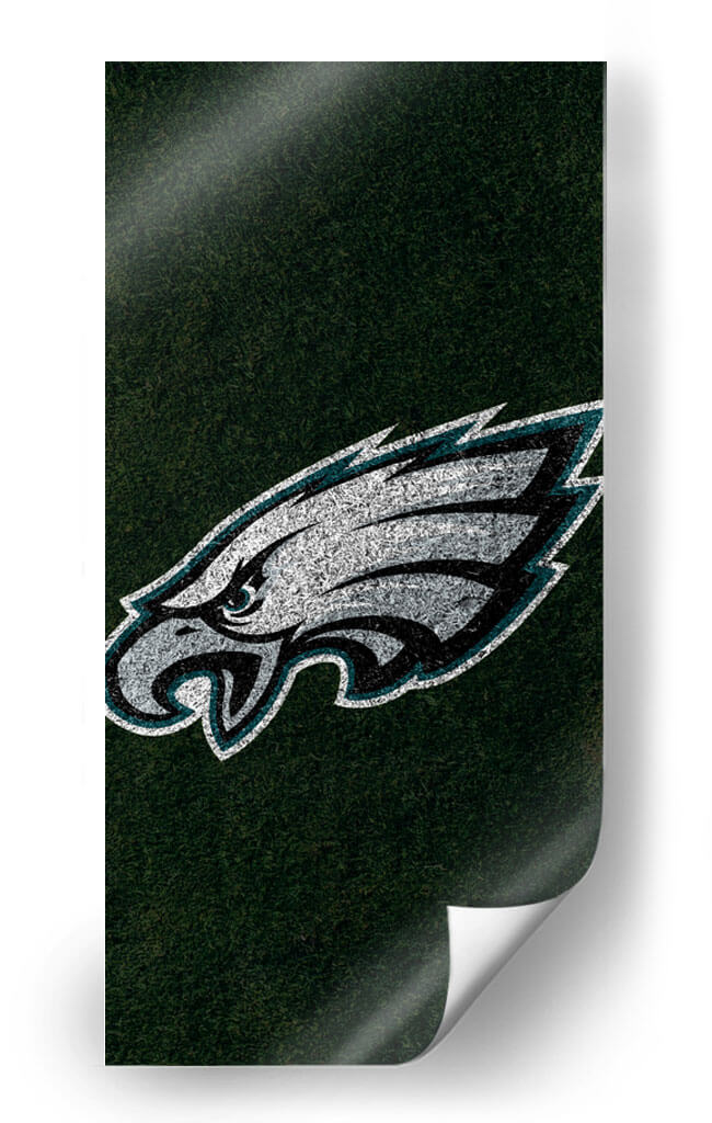Logo Philadelphia Eagles en el campo | Cuadro decorativo de Canvas Lab