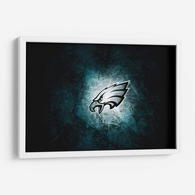 Logo Philadelphia Eagles en hielo | Cuadro decorativo de Canvas Lab
