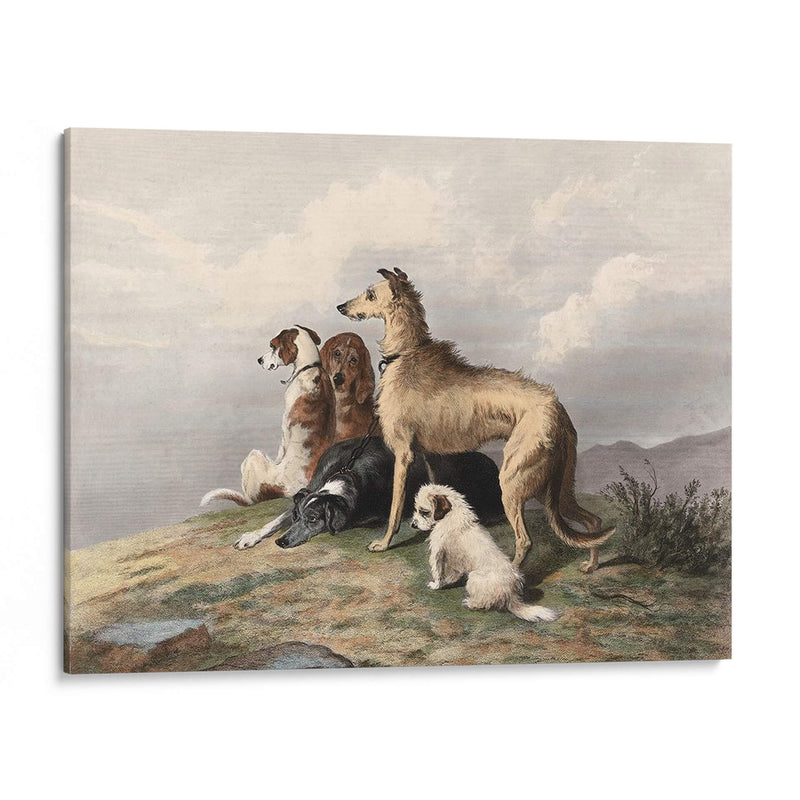 Perros De Montaña - I. Bonheur | Cuadro decorativo de Canvas Lab